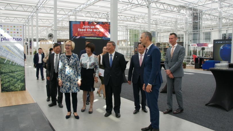 PG电子·(中国)官方网站