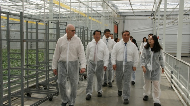 PG电子·(中国)官方网站