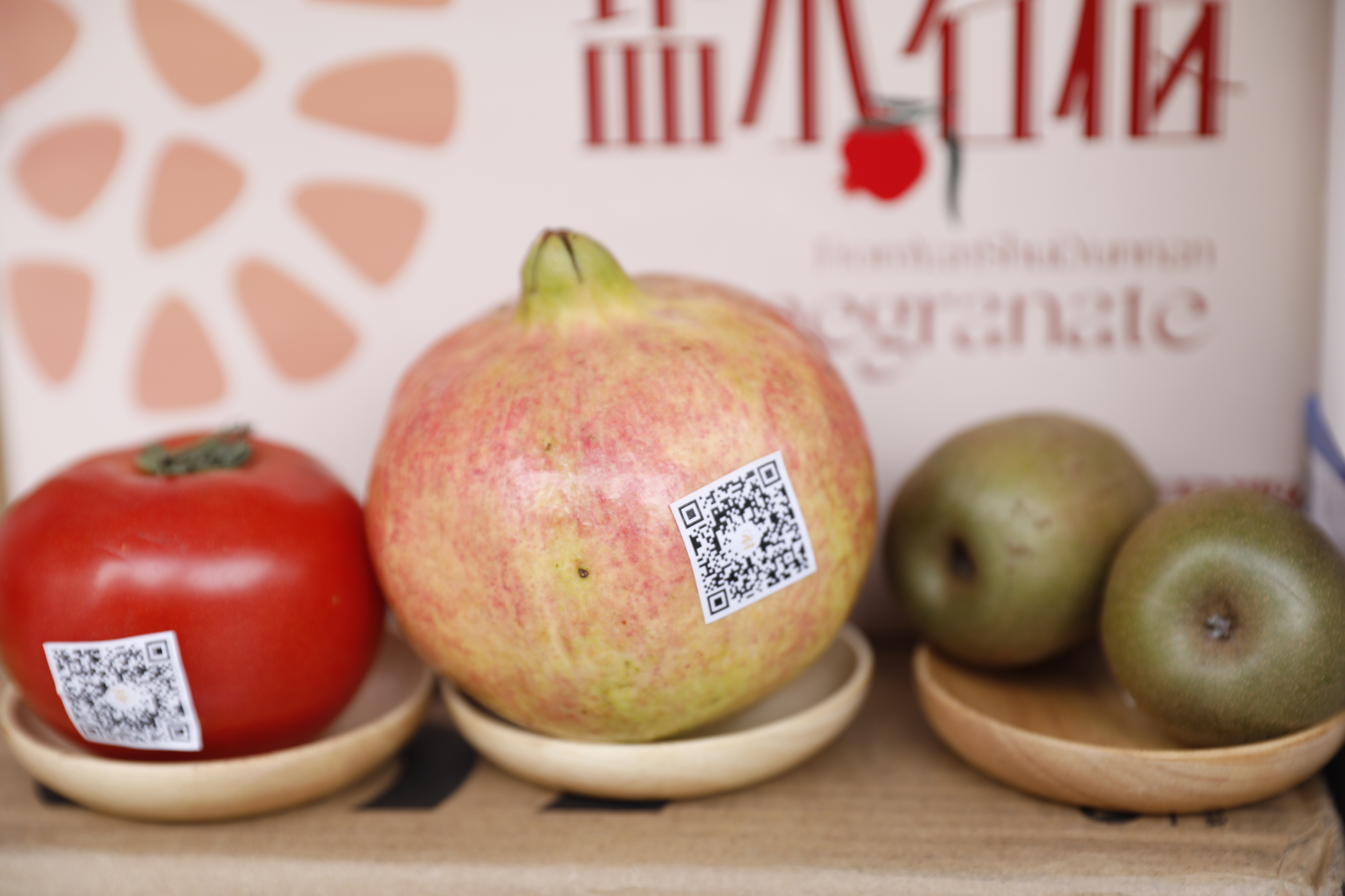 PG电子·(中国)官方网站
