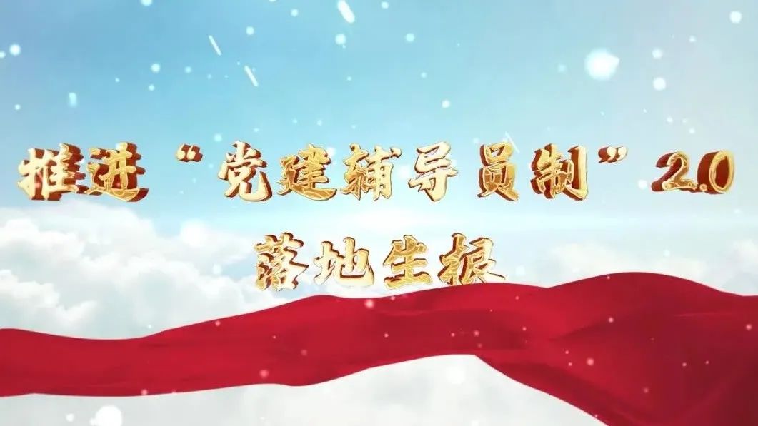  党建经营融合十佳案例④ | 西南水泥——“领导员造”+“进建型组织”，，，，，，，让党建成为看得见的“出产力” 